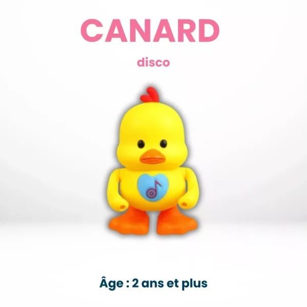 Canard Disco