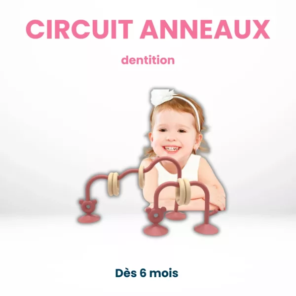 Circuit Anneaux Dentition