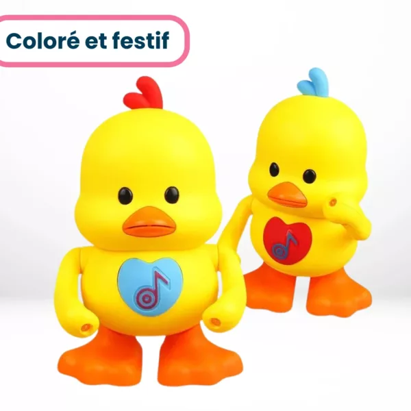 Canard Disco – Image 2