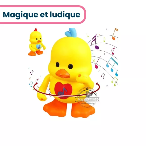 Canard Disco – Image 3