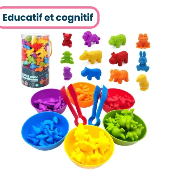 Jeu de Tri Montessori – Image 7