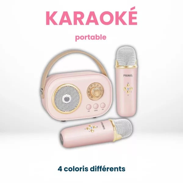 Karaoké Portable