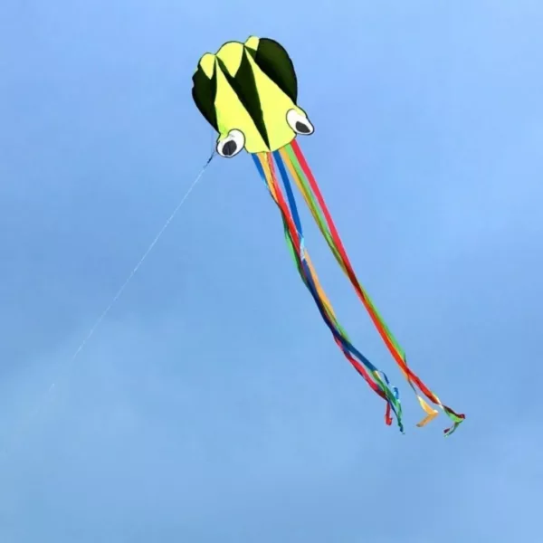 Cerf-volant pieuvre – Image 4