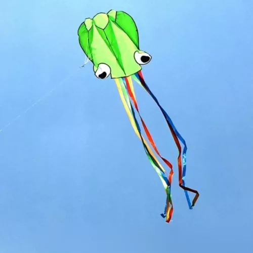 Cerf-volant pieuvre – Grand cerf-volant coloré pour enfants et adultes – Vol spectaculaire en plein air
