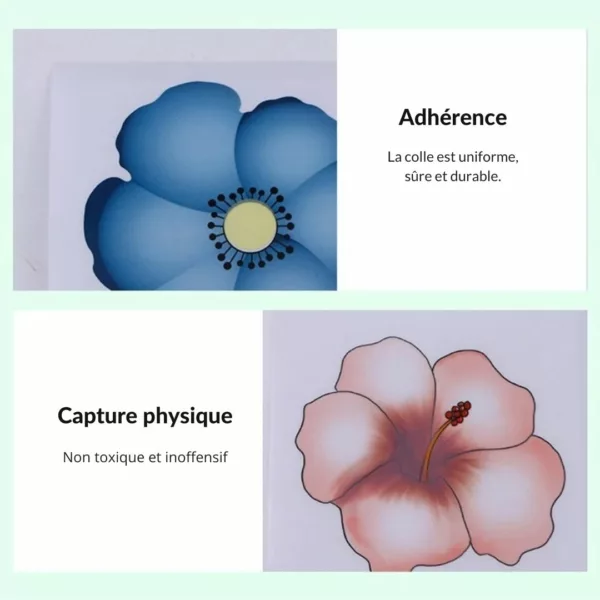 Attrape mouches autocollant pour vitres – Discret, efficace et sans produits chimiques – Maison sans insectes – Image 4