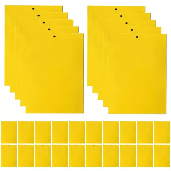 Attrape mouches naturel sans produit chimique – Élimine les mouches efficacement sans toxines pour un intérieur sain – Image 6