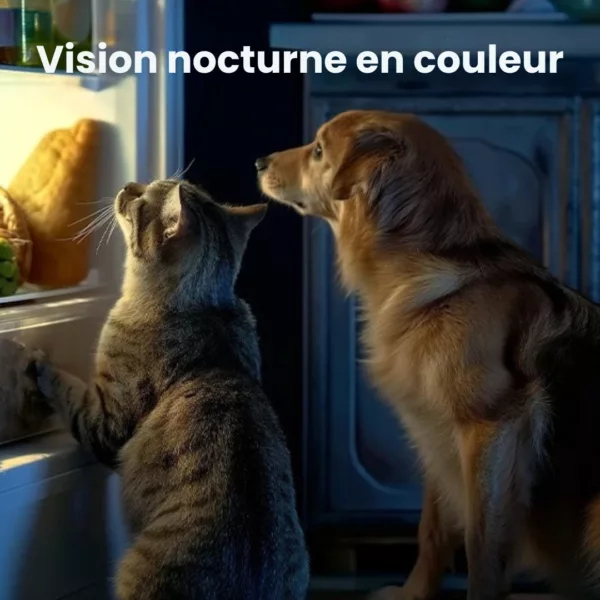 Caméra de surveillance pour niche de chien – Image 3