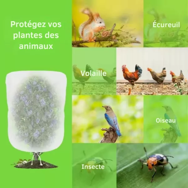Filet anti insectes pour herbes aromatiques – Protège efficacement vos plantes – Récolte saine et naturelle – Image 3
