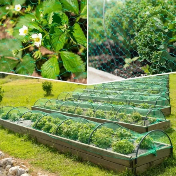 Filet de protection arbres contre oiseaux
