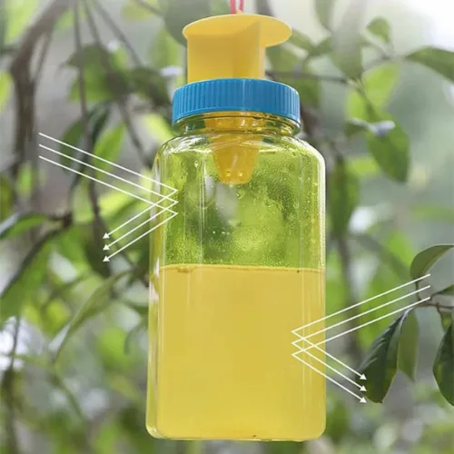 Piège à frelons en bouteille suspendue – Solution naturelle, sans produits chimiques, ultra efficace en extérieur