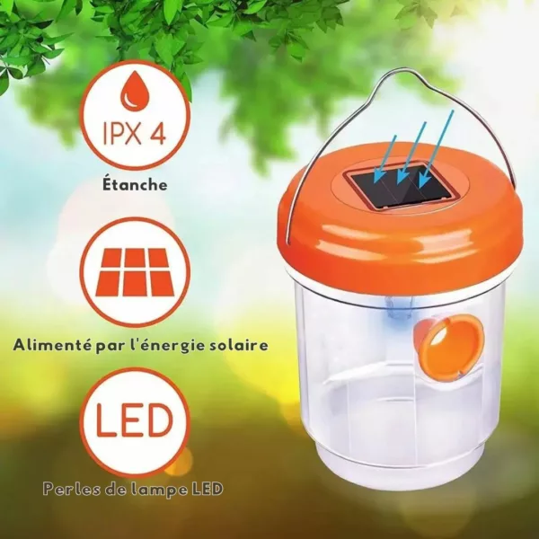 Piège à guêpes avec liquide attractif – Image 3