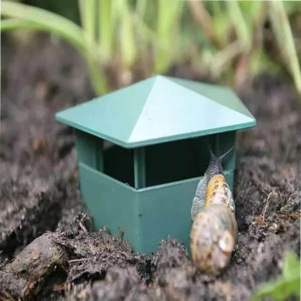 Piège à limaces pour bac potager – Protection 100% naturelle des cultures – Évitez les dégâts sans produits chimiques – Image 2