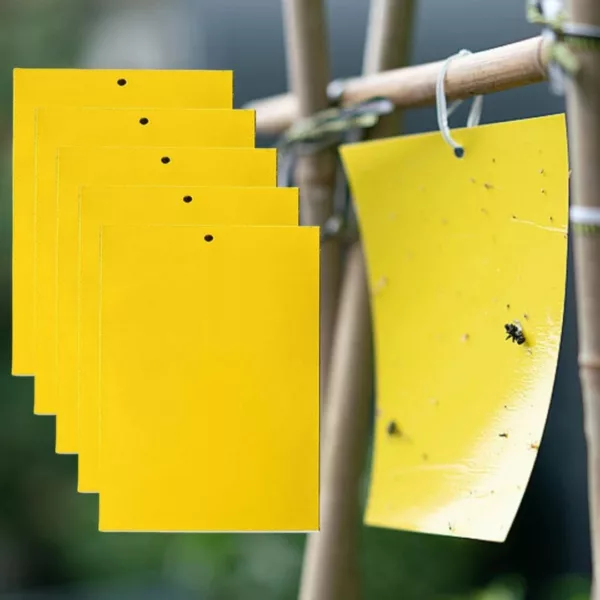 Attrape mouches naturel sans produit chimique – Élimine les mouches efficacement sans toxines pour un intérieur sain – Image 2