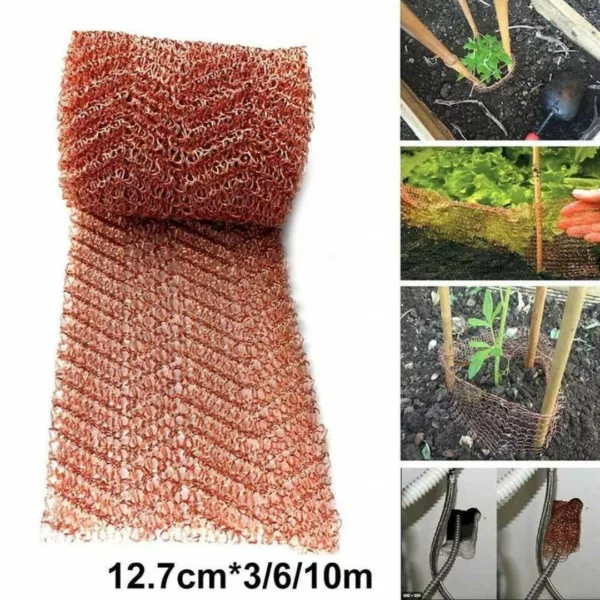 Barrière anti limaces pour potager naturel – Protection efficace et écologique pour légumes sains – Image 3