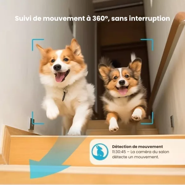 Caméra de surveillance pour niche de chien – Image 4