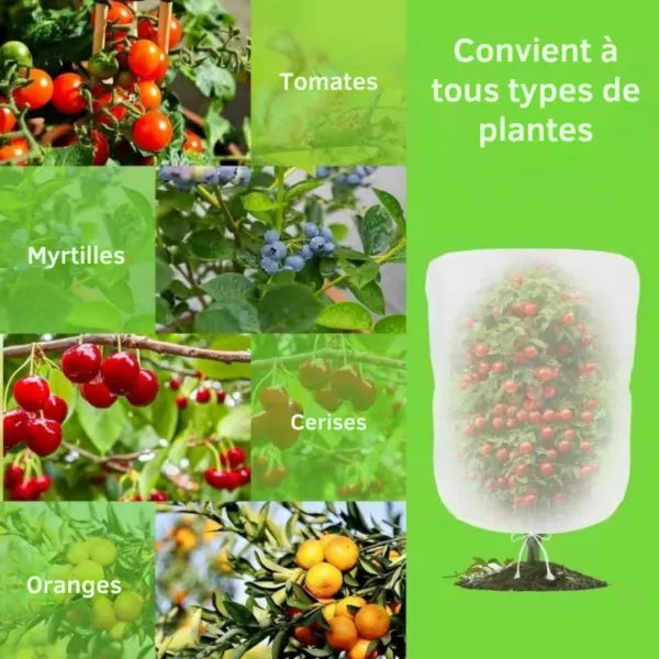 Filet anti insectes pour herbes aromatiques – Protège efficacement vos plantes – Récolte saine et naturelle – Image 2