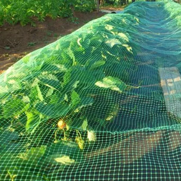 Filet de protection anti oiseaux potager – Protégez vos fruits et légumes efficacement contre les nuisibles – Image 4
