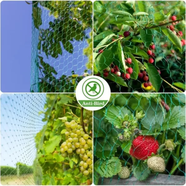 Filet de protection arbres contre oiseaux – Image 3