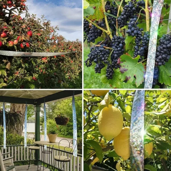 Système dissuasif visuel contre corbeaux – Protégez jardin et récoltes efficacement sans produits chimiques – Image 2