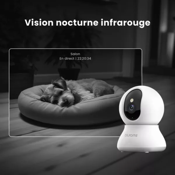 Caméra de surveillance pour niche de chien – Image 5