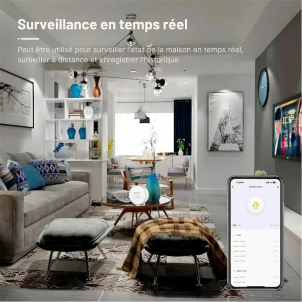 Capteur de vibration pour porte d’entrée – Image 3