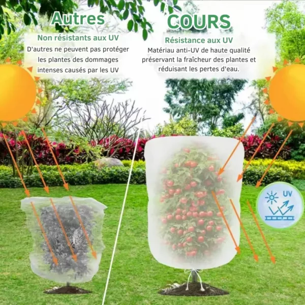 Filet anti insectes pour herbes aromatiques – Protège efficacement vos plantes – Récolte saine et naturelle – Image 4