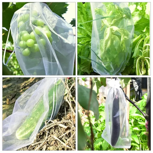 Filet anti insectes pour potager bio – Protection naturelle efficace contre parasites et maladies – Jardinez sans produits chimiques – Image 4