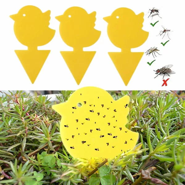 Piège à frelons asiatiques extérieur jardin – Protection efficace et naturelle pour repas en plein air sans nuisibles – Image 4