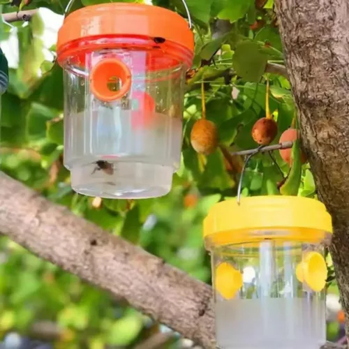 Piège à guêpes avec liquide attractif