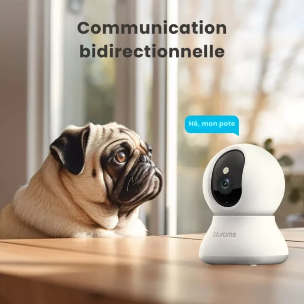 Caméra de surveillance pour niche de chien – Image 6