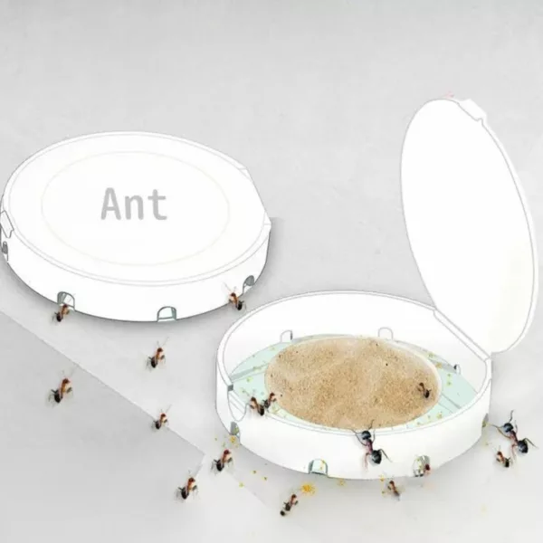 Barrière anti fourmis naturelle maison – Solution efficace, sans produits chimiques – Protection durable pour votre intérieur – Image 3