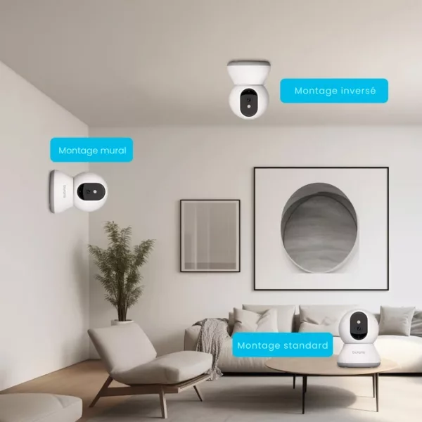 Caméra de surveillance pour niche de chien – Image 2