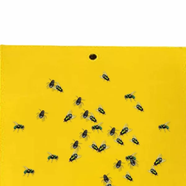 Attrape mouches naturel sans produit chimique – Élimine les mouches efficacement sans toxines pour un intérieur sain – Image 4