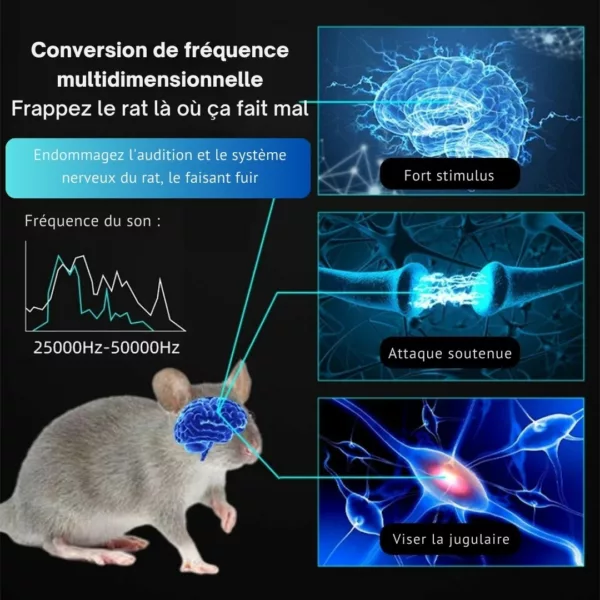 Dispositif anti rongeurs pour combles maison – Protection efficace, sans poison, contre rats et souris – Tranquillité garantie – Image 4