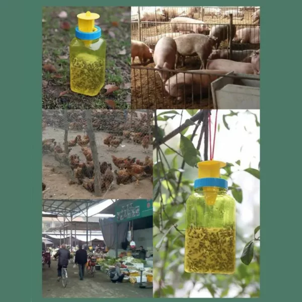Piège à frelons en bouteille suspendue – Solution naturelle, sans produits chimiques, ultra efficace en extérieur – Image 3
