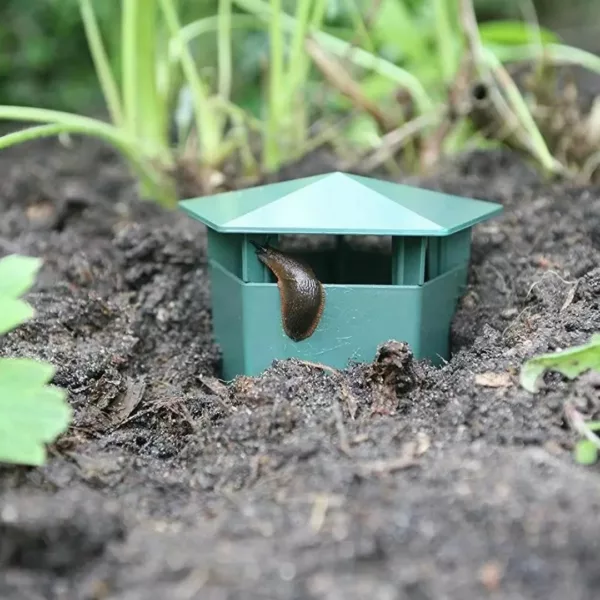 Piège à limaces pour bac potager – Protection 100% naturelle des cultures – Évitez les dégâts sans produits chimiques – Image 3