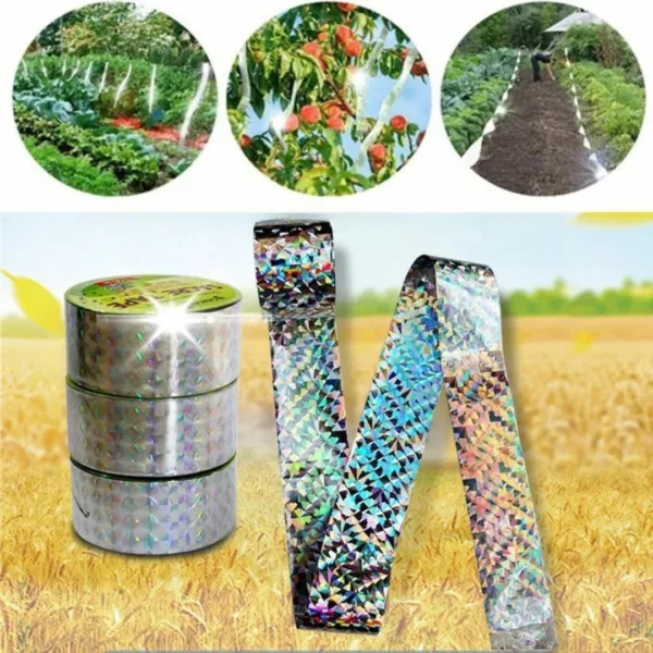 Système dissuasif visuel contre corbeaux – Protégez jardin et récoltes efficacement sans produits chimiques – Image 5