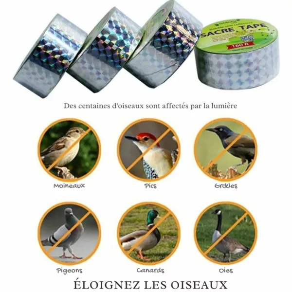 Système dissuasif visuel contre corbeaux – Protégez jardin et récoltes efficacement sans produits chimiques – Image 4