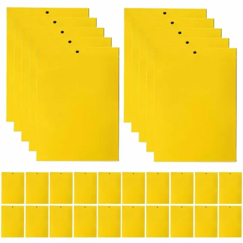 Attrape mouches naturel sans produit chimique – Élimine les mouches efficacement sans toxines pour un intérieur sain