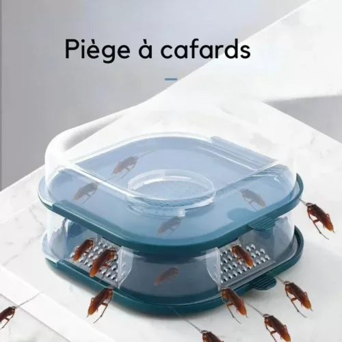 Boîte d’appât anti cafards réutilisable – Élimination efficace et durable des nuisibles sans produits toxiques