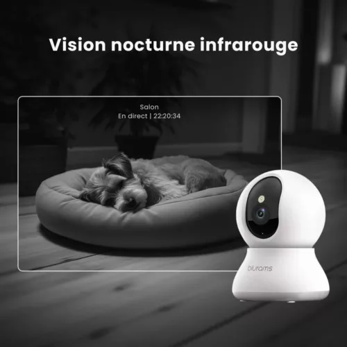 Caméra de surveillance pour niche de chien – Gardez un œil sur votre compagnon à distance, sécurité et sérénité assurées