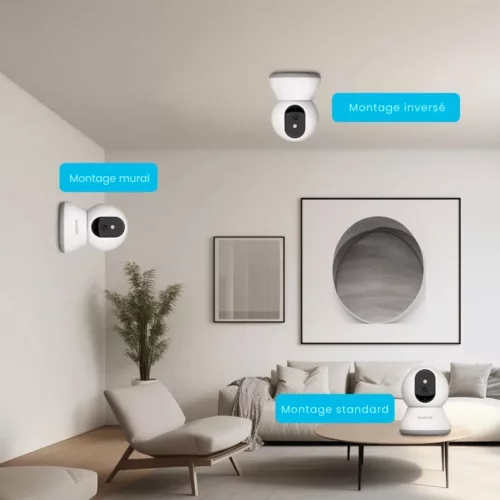 Caméra de surveillance pour niche de chien – Gardez un œil sur votre compagnon à distance, sécurité et sérénité assurées