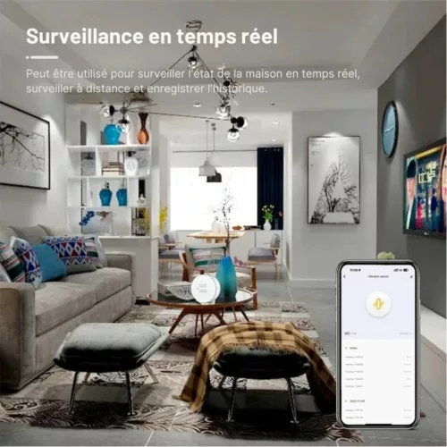 Capteur de vibration pour porte d’entrée – Sécurité anti-intrusion fiable pour maison et appartement