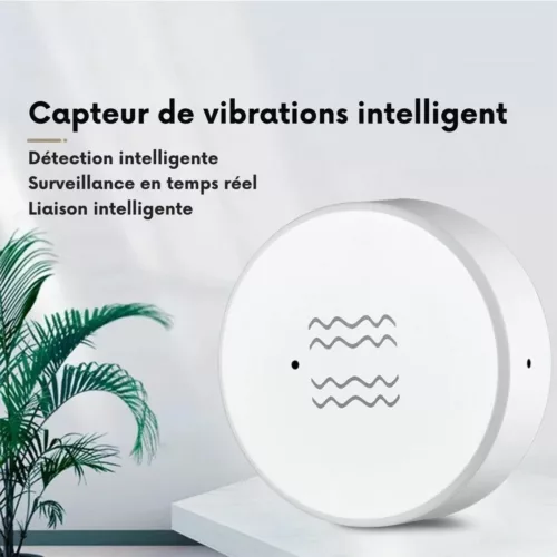 Capteur de vibration pour porte d’entrée – Sécurité anti-intrusion fiable pour maison et appartement