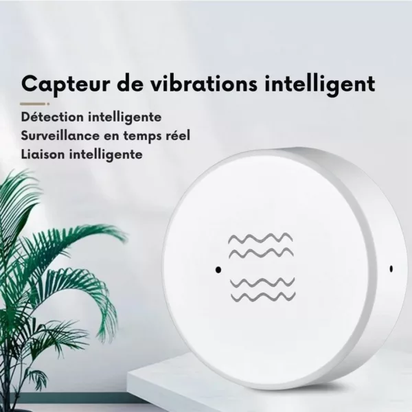 Capteur de vibration pour porte d’entrée – Sécurité anti-intrusion fiable pour maison et appartement