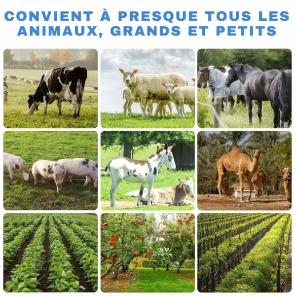 Clôture électrique solaire contre sangliers – Protection efficace et autonome pour jardin et cultures