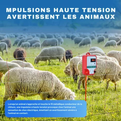 Clôture électrique solaire contre sangliers – Protection efficace et autonome pour jardin et cultures