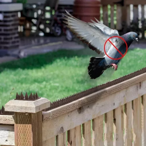 Cône anti pigeons pour rebords de fenêtres – Protection efficace sans cruauté contre les nuisances et salissures