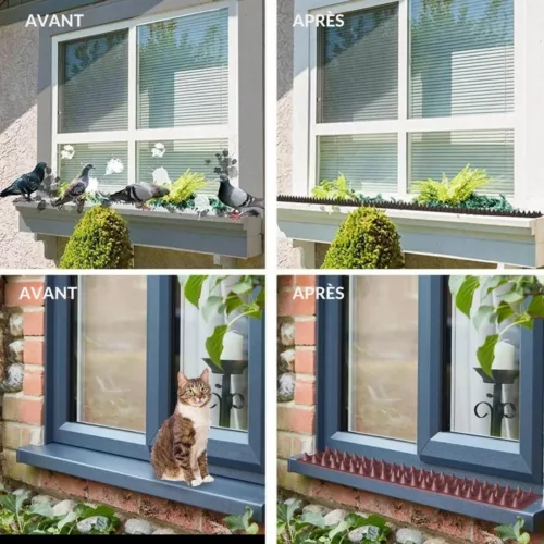 Cône anti pigeons pour rebords de fenêtres – Protection efficace sans cruauté contre les nuisances et salissures