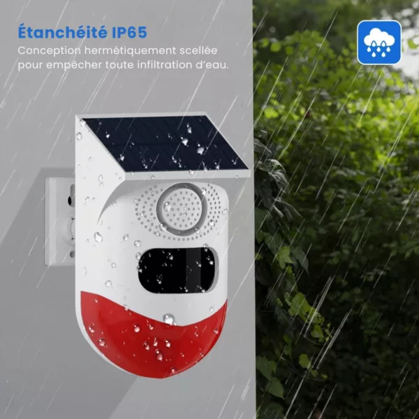 Détecteur de mouvement extérieur sans wifi – Sécurité autonome et fiable pour votre jardin ou entrée